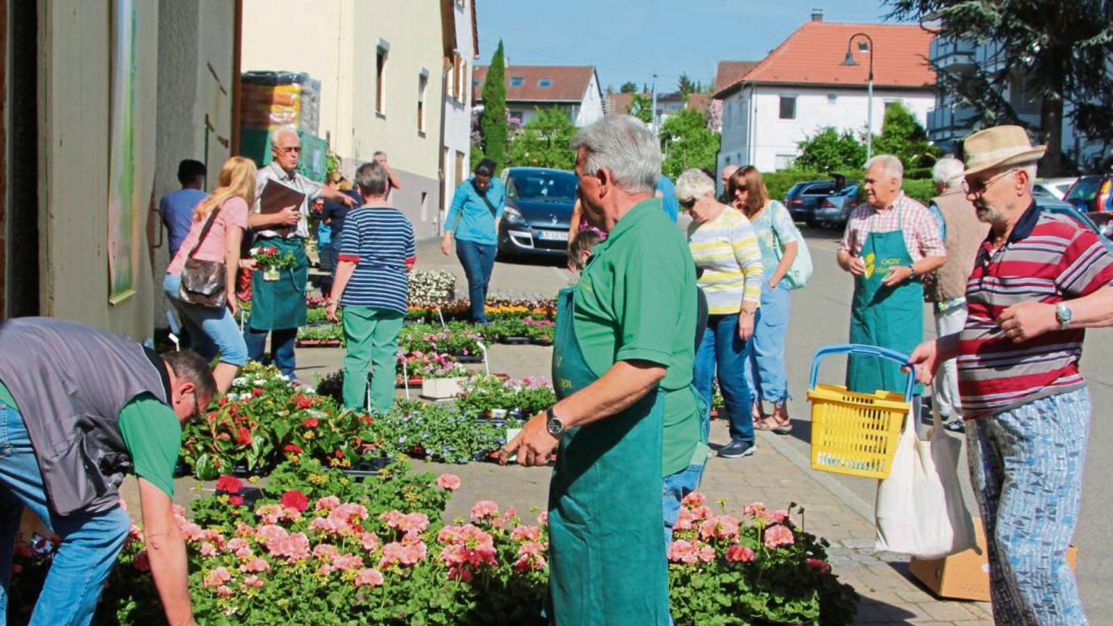 Rund 4800 Pflanzen für Garten, Balkon, Terrasse und Friedhof hatte der Obst- und Gaartenbauverein Oberriexingen im Angebot. Foto: Gergen Rund 4800 Pflanzen für Garten, Balkon, Terrasse und Friedhof hatte der Obst- und Gaartenbauverein Oberriexingen im Angebot. Foto: Gergen