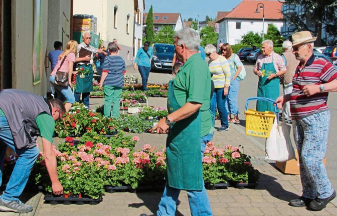 Rund 4800 Pflanzen für Garten, Balkon, Terrasse und Friedhof hatte der Obst- und Gaartenbauverein Oberriexingen im Angebot.  Foto: Gergen