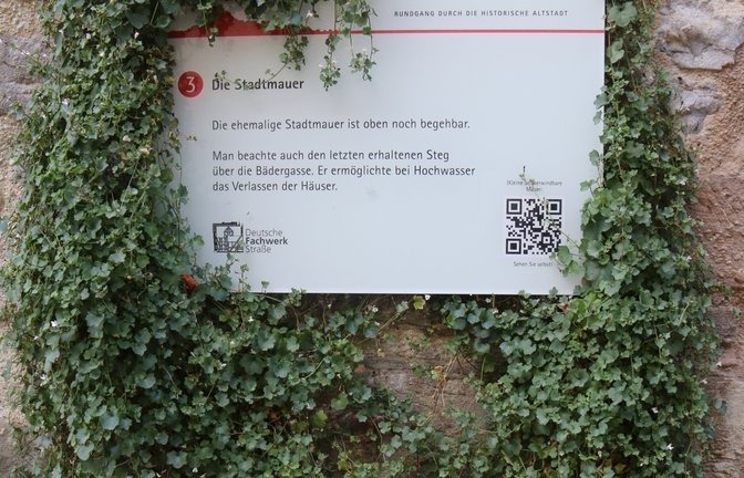Eingerahmt von Mutter Natur: Zimbelkraut und Hinweisschild an der Stadtmauer.  sr