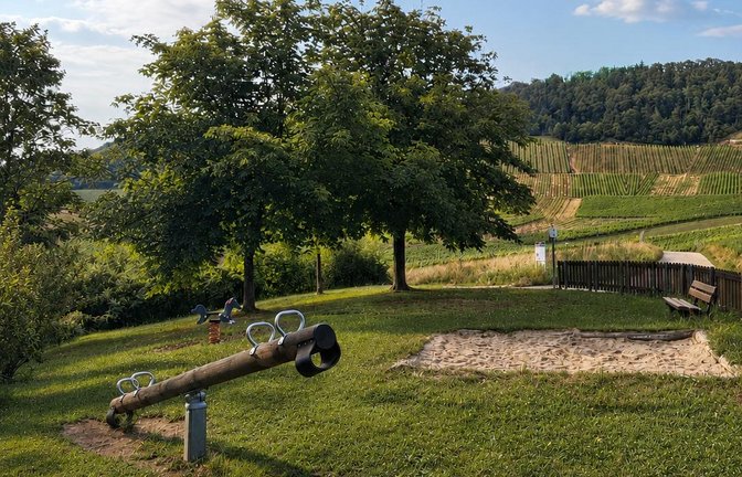 Der Spielplatz an der Kelter soll neue Spiel- und Klettergeräte erhalten.  <span class='image-autor'>Foto: Glemser</span>