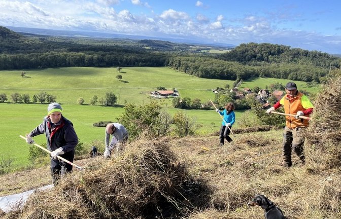Landschaftspflege am Hofberg. <span class='image-autor'>Foto: Albverein</span>