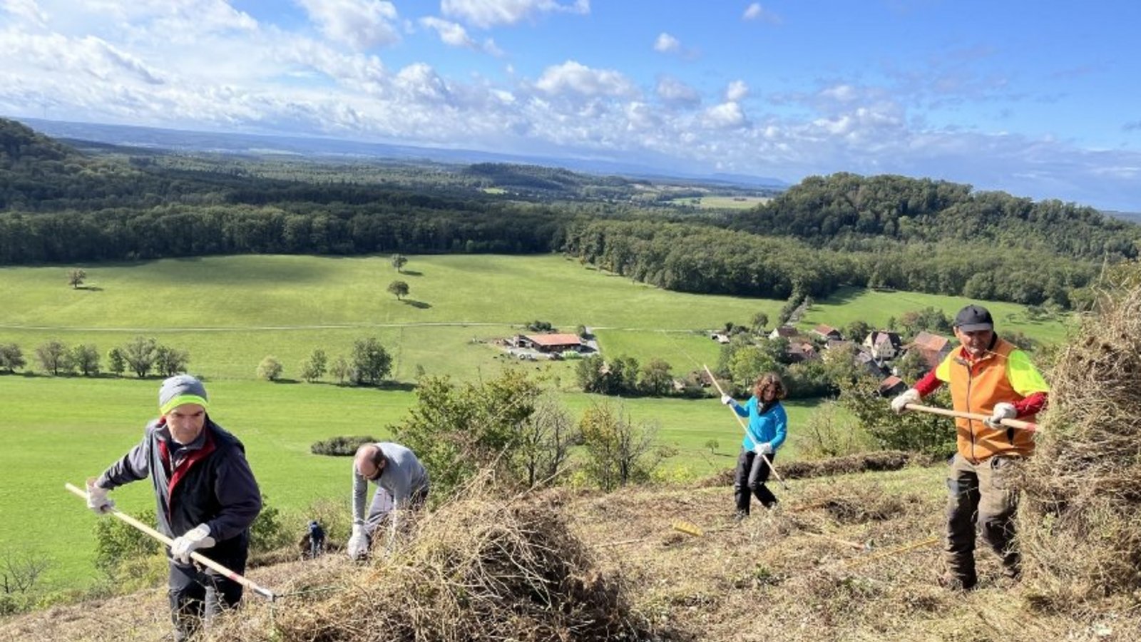 Landschaftspflege am Hofberg. Foto: Albverein