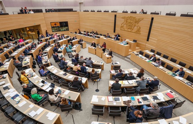 Drei zusätzliche Sitze sind im Plenarsaal künftig nötig.<span class='image-autor'>Foto: Christoph Schmidt/dpa</span>