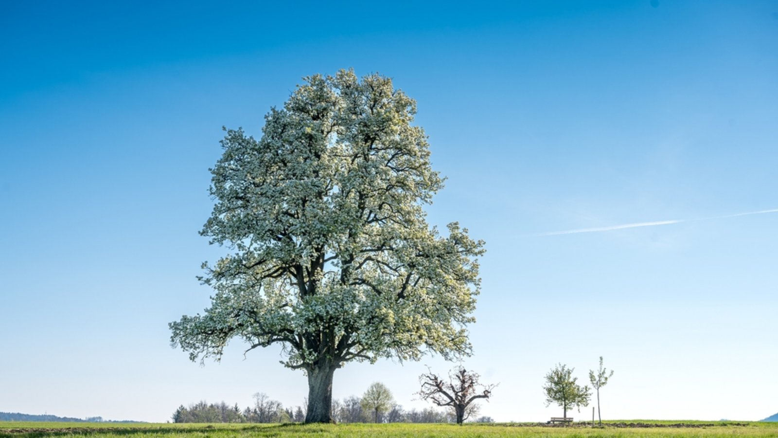 Wann wird es wieder wärmer? Ein Überblick über die Wetterentwicklung in Deutschland mit Prognosen für die kommenden Wochen.Foto: schame / Shutterstock.com