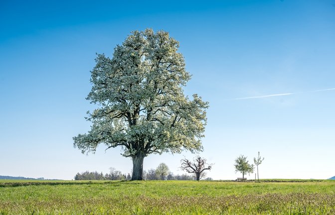 Wann wird es wieder wärmer? Ein Überblick über die Wetterentwicklung in Deutschland mit Prognosen für die kommenden Wochen.<span class='image-autor'>Foto: schame / Shutterstock.com</span>