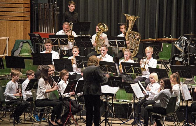 Die Jugend zeigte, dass sich der Musikverein Sersheim auf seinen Nachwuchs verlassen kann.  Foto: Friedrich