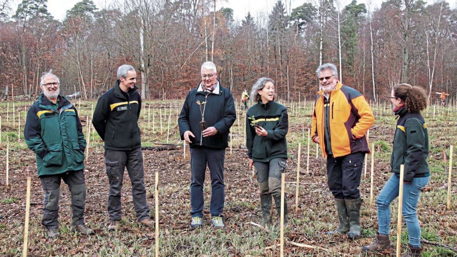 Treffpunkt auf der Versuchsfläche. Von links: Wolfgang Steinacker (ehemaliger Revierförster), Dr. Michael Nill (Leiter Fachbereich Wald beim Landratsamt), Bürgermeister Peter Schäfer, Elke Lenk (FVA), Steffen Frank (Revierförster) und Katharina Obermeier (Försterin im Innendienst). Fotos: Arning