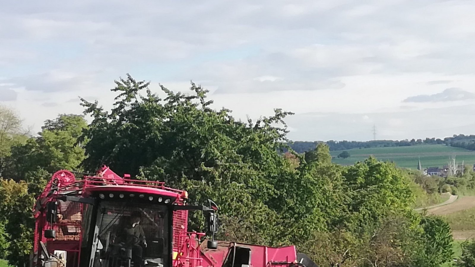 Großgerät im Einsatz: Die Zuckerrübenernte hat begonnen. Foto: Arning
