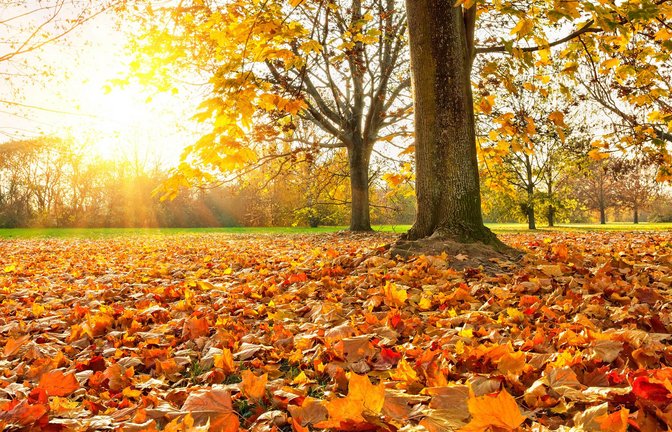 Ob das sommerliche Wetter bis zum Oktober bleibt?<span class='image-autor'>Foto: IMAGO/Panthermedia/sborisov via imago-images.de</span>