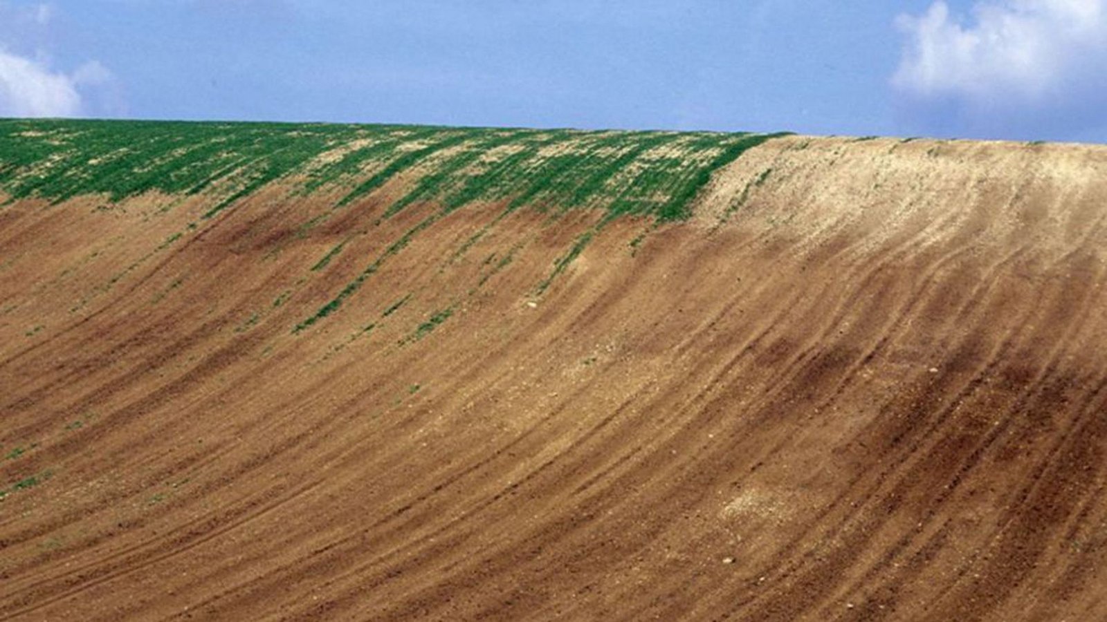 In Deutschland werden pro Tag mehr als 70 Hektar mit Fabrikhallen, Häusern und Straßen zugepflastert.Foto: dpa/D. Harms/Wildlife In Deutschland werden pro Tag mehr als 70 Hektar mit Fabrikhallen, Häusern und Straßen zugepflastert.Foto: dpa/D. Harms/Wildlife