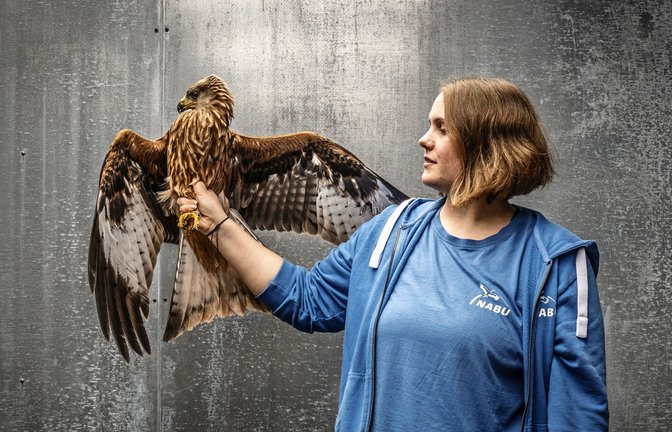 Die Tierpflegerin Rebecca Strege mit einem zahmen Milan, der resozialisiert werden muss, um in der Natur zu überleben.<span class='image-autor'>Foto: Andreas Reiner/
Andreas Reiner</span>
