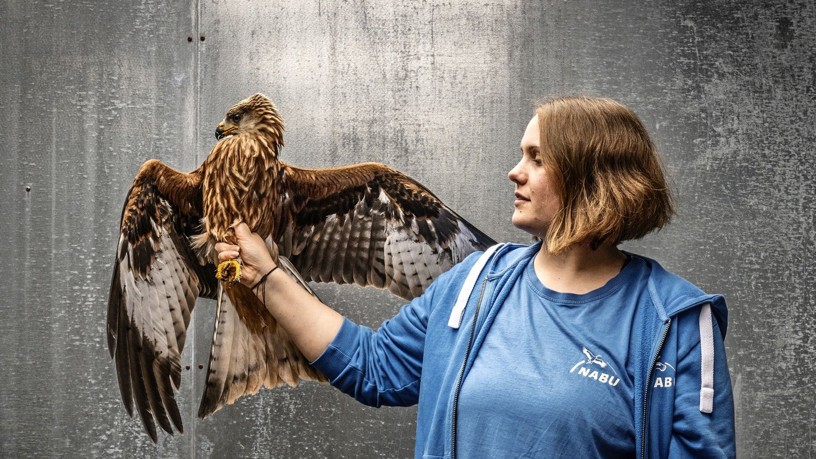 Die Tierpflegerin Rebecca Strege mit einem zahmen Milan, der resozialisiert werden muss, um in der Natur zu überleben.Foto: Andreas Reiner/
Andreas Reiner