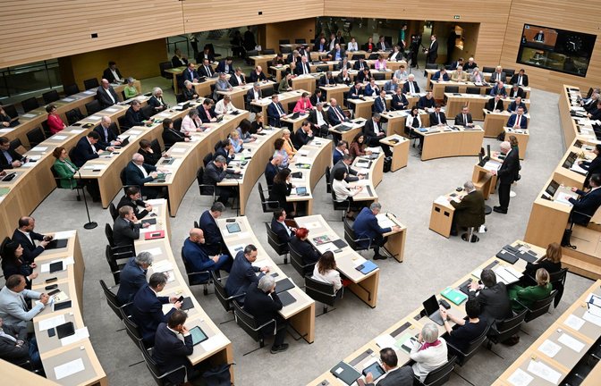 Die FDP-Landtagsfraktion hatte die Anfrage gestellt (Symbolbild).<span class='image-autor'>Foto: dpa/Bernd Weißbrod</span>