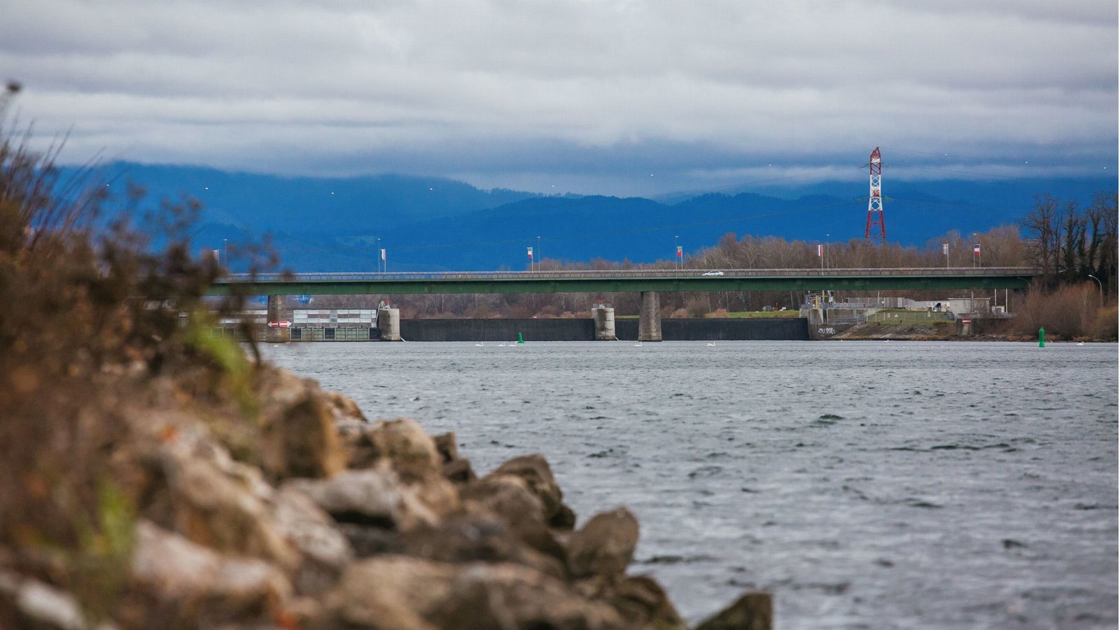 Ein 58-Jähriger hat die Leichenteile eines 38-Jährigen im Rhein entsorgt. Nun steht er wegen Totschlags vor Gericht (Symbolfoto).Foto: dpa/Philipp von Ditfurth Ein 58-Jähriger hat die Leichenteile eines 38-Jährigen im Rhein entsorgt. Nun steht er wegen Totschlags vor Gericht (Symbolfoto).Foto: dpa/Philipp von Ditfurth