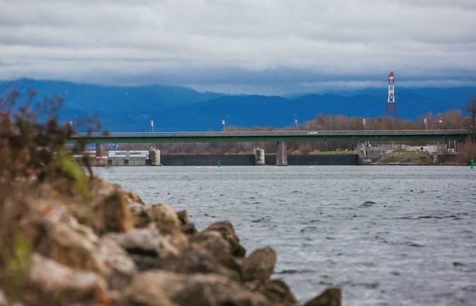 Ein 58-Jähriger hat die Leichenteile eines 38-Jährigen im Rhein entsorgt. Nun steht er wegen Totschlags vor Gericht (Symbolfoto).<span class='image-autor'>Foto: dpa/Philipp von Ditfurth</span>