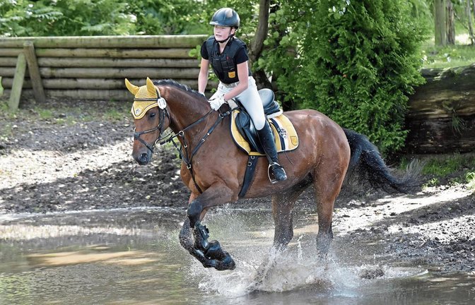 Caroline Abele aus Vaihingen hat auf dem Württemberger Wallach FBW Condor beim Länderwettkampf in Westerstede Punkte für die Mannschaft aus dem Ländle gesammelt.    Fotos: Olaf Tellinghusen