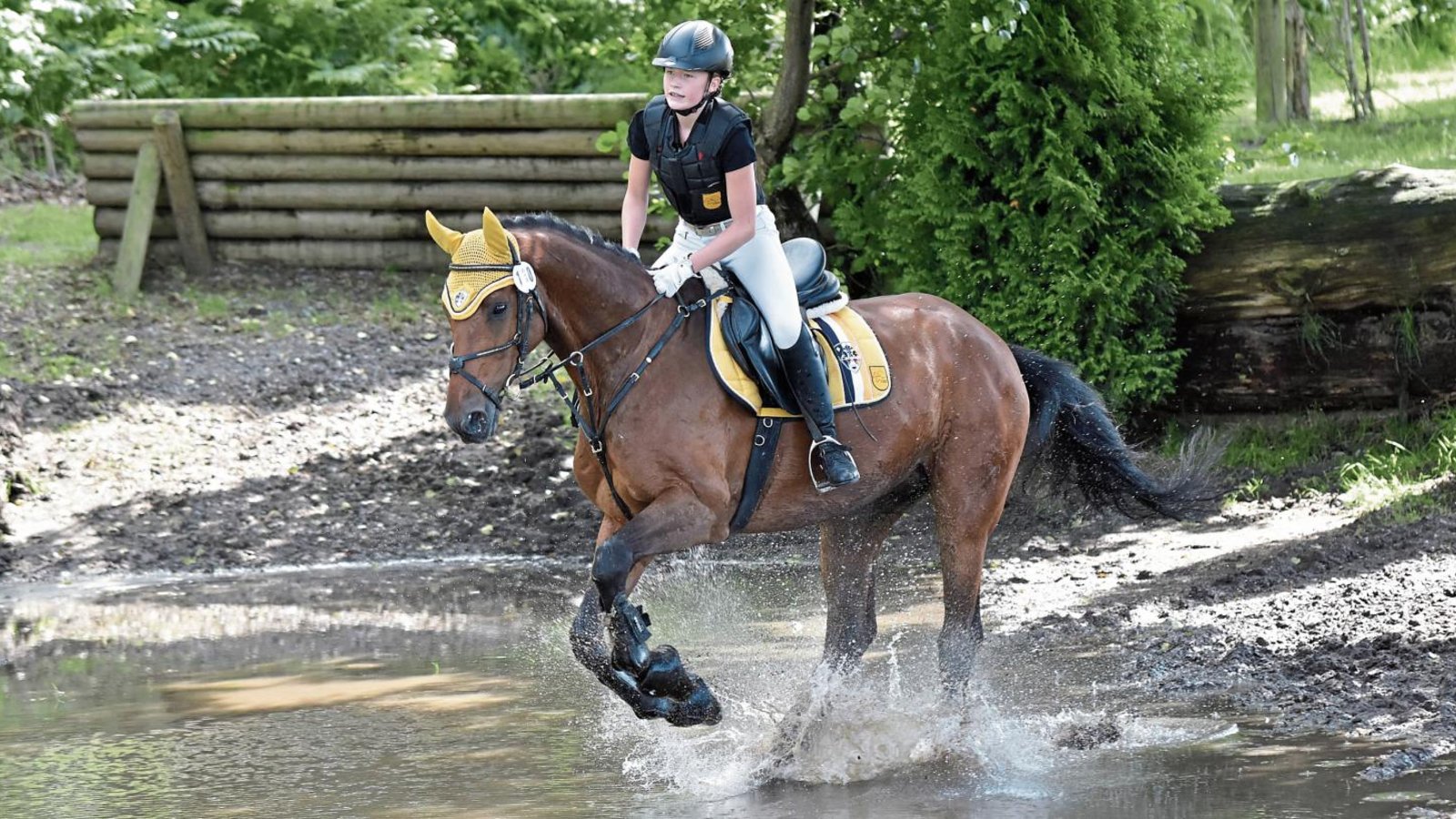Caroline Abele aus Vaihingen hat auf dem Württemberger Wallach FBW Condor beim Länderwettkampf in Westerstede Punkte für die Mannschaft aus dem Ländle gesammelt.    Fotos: Olaf Tellinghusen Caroline Abele aus Vaihingen hat auf dem Württemberger Wallach FBW Condor beim Länderwettkampf in Westerstede Punkte für die Mannschaft aus dem Ländle gesammelt.    Fotos: Olaf Tellinghusen