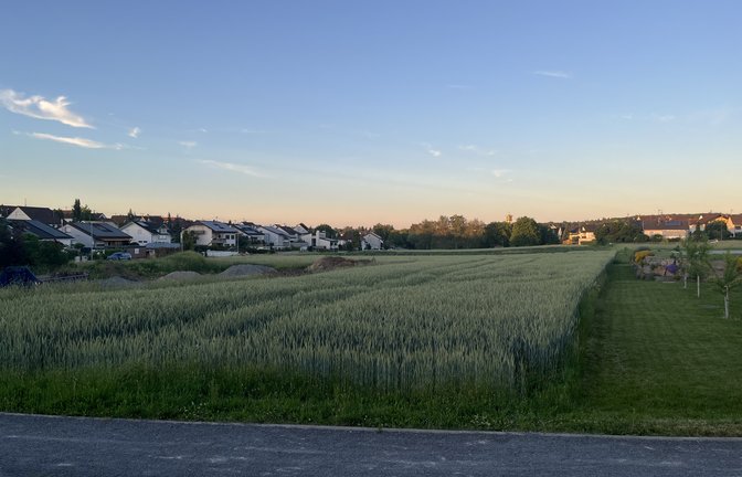 Das Gebiet „Bonlanden“ in Sersheim soll bebaut werden. Das kleine Areal bringt aber großen Aufwand für die Gemeinde mit sich.  <span class='image-autor'>Foto: Glemser</span>