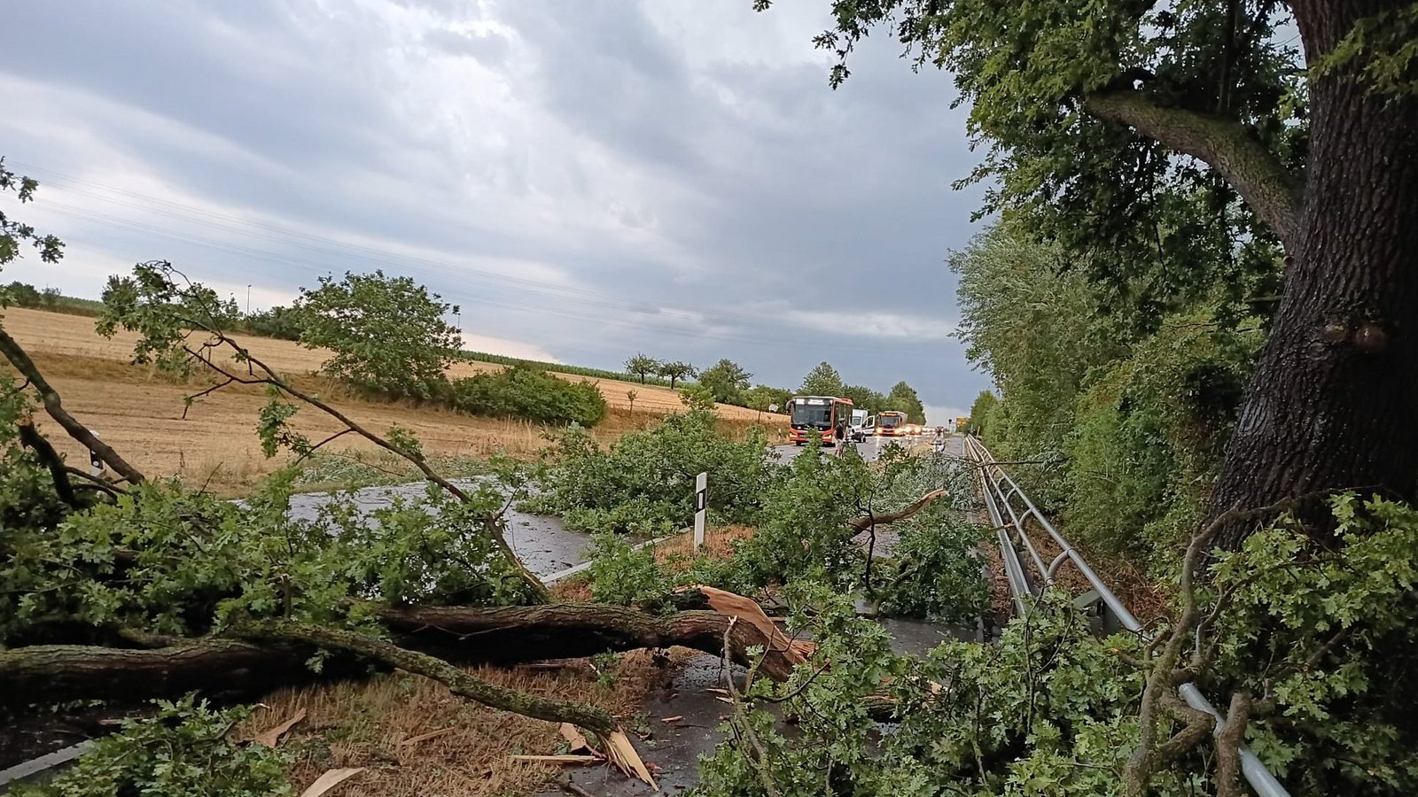 In Kleinglattbach hat der Sturm Bäume umgerissen. Foto: Arning