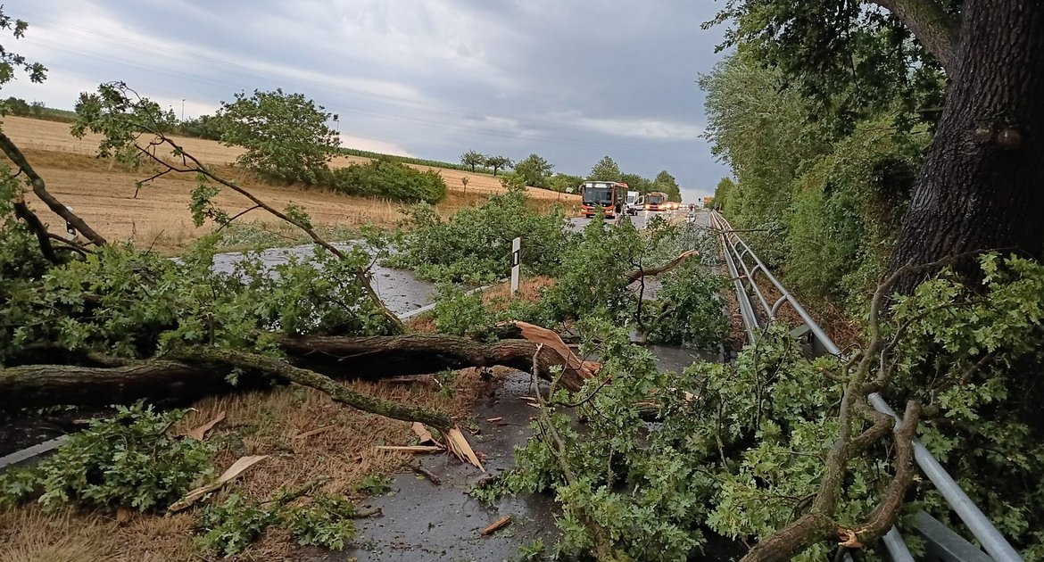 In Kleinglattbach hat der Sturm Bäume umgerissen. Foto: Arning