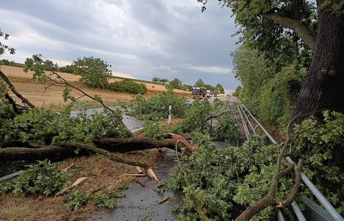 In Kleinglattbach hat der Sturm Bäume umgerissen. Foto: Arning
