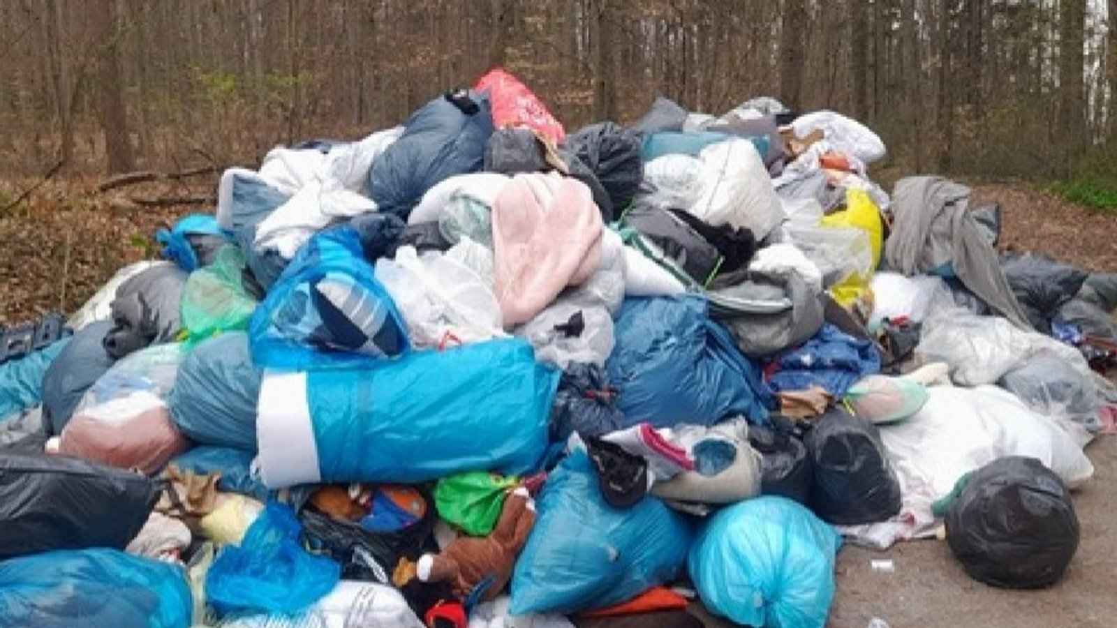 Der illegal entsorgte Altkleiderberg im Wald zwischen Nussdorf und Iptingen füllt einen ganzen Container. Foto: Möhler