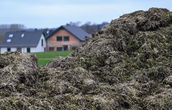 Die Flucht endete in einem Misthaufen (Symbolbild).<span class='image-autor'>Foto: Arne Dedert/dpa/Arne Dedert</span>