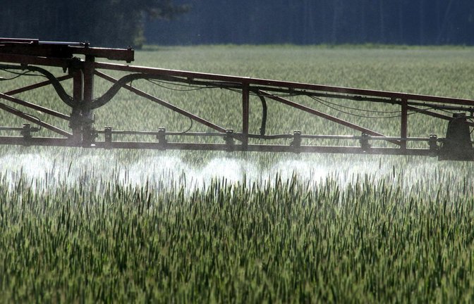 Ein Landwirt versprüht Pflanzenschutzmittel über ein Roggenfeld.<span class='image-autor'>Foto: Peter Förster/dpa</span>