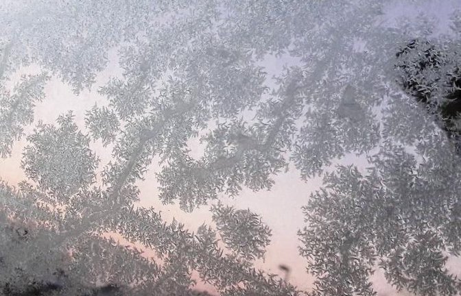 Die Sehnsucht nach Blumen stillt die Natur zurzeit nur durch Eisblumen.  Foto: Rücker