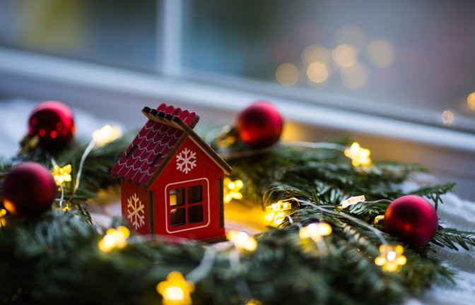 Foto: Oleksandra Mykhailutsa / shutterstock.com
