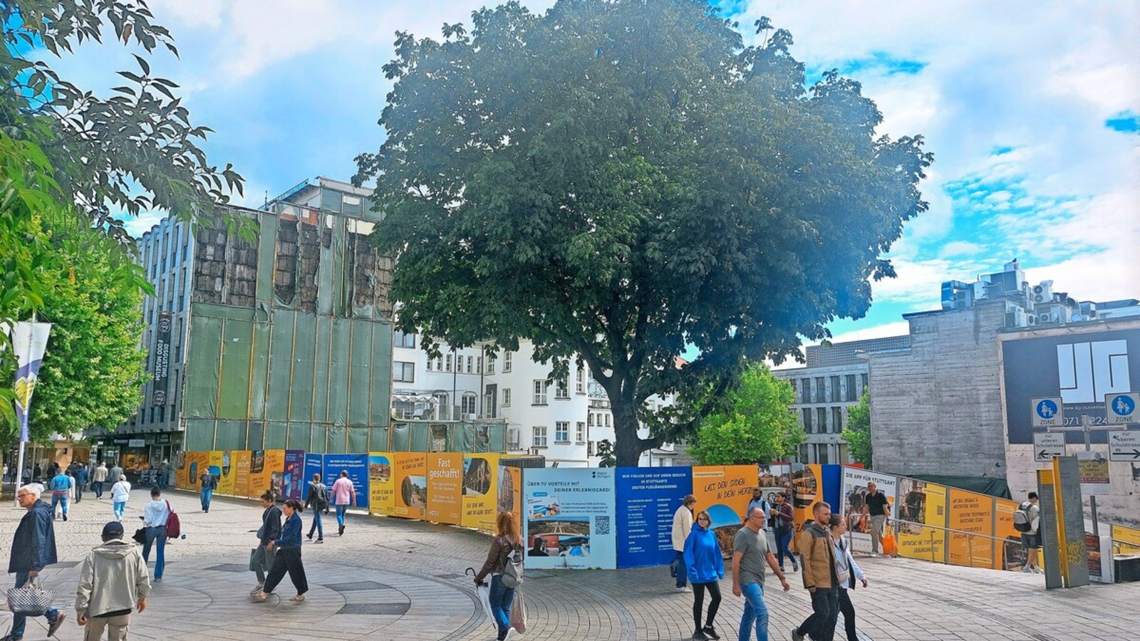 Die Rosskastanie ist rund 18 Meter hoch und steht dem Bauherrn im Weg.
         
         Foto: StröbeleFoto: &nbsp;
