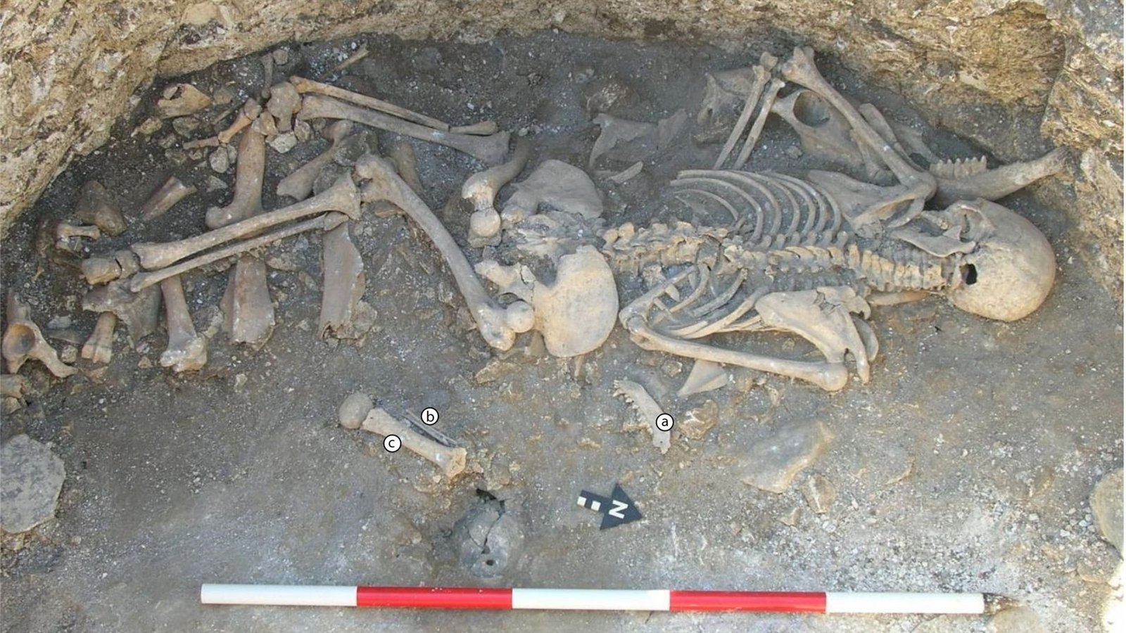 Nach Ansicht der Forscher von der britischen Universität Bournemouth weisen die ungewöhnlichen Umstände der Beisetzung darauf hin, dass die Frau rituell geopfert wurde.Foto: Bournemouth University Nach Ansicht der Forscher von der britischen Universität Bournemouth weisen die ungewöhnlichen Umstände der Beisetzung darauf hin, dass die Frau rituell geopfert wurde.Foto: Bournemouth University