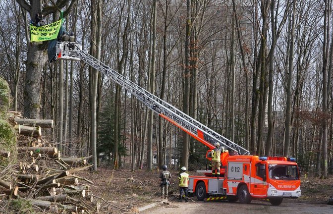Mittels einer Drehleiter der Feuerwehr haben SEK-Beamte die vier Männer vom Baum geholt.<span class='image-autor'>Foto: Andreas Rosar</span>