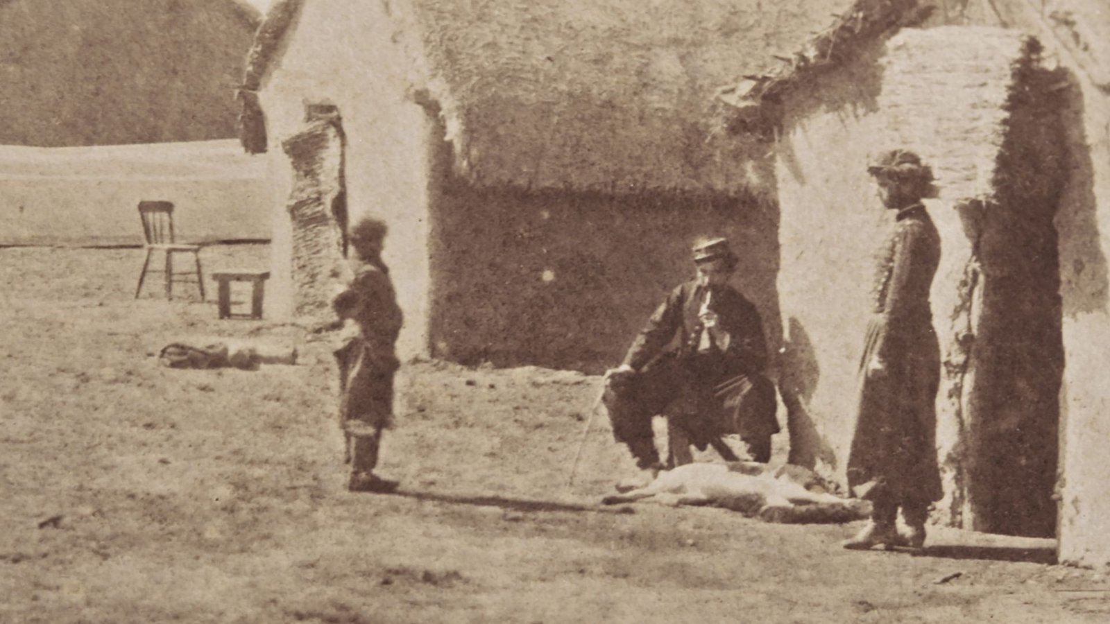 Szene aus „Bosque arriba en la montaña“, ein Dokumentarfilm über das  indigene Volk der Mapuche  im Süden Argentiniens und den patagonischen Wald. Von Sofía Bordenave, Argentinien 2026Foto: Cinelatino