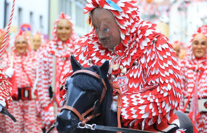 Der Aufgalopp zur Fasnet wird in diesem Jahr von der Plätzlerzunft in Weingarten ausgerichtet.<span class='image-autor'>Foto: VSAN/Elke Obser</span>