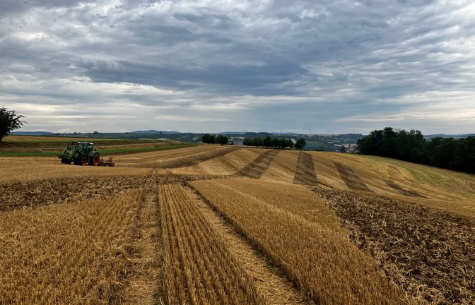 Streifenmuster auf dem Acker bei Enzweihingen: „Precision Farming“ mit GPS-Unterstützung aus dem Weltall ermöglicht eine optimale und damit kraftstoffsparende Bodenbearbeitung. Der Traktor wird mit bis zu zwei Zentimetern Genauigkeit automatisch übers Feld gelenkt, ein Eingriff des Fahrers ist nur beim Umdrehen erforderlich. <span class='image-autor'>Foto: Pfisterer</span>