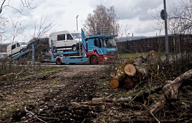 Noch liegt kein Verkehrskonzept vor, das die Probleme im Umfeld der Spedition Mosolf lösen könnte. Gegenüber fanden jetzt Waldarbeiten statt. sta