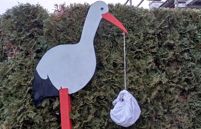 Die erste Storchensichtung des noch jungen Jahres auf Vaihinger Markung versetzt Vogelfreunde und Hebammen gleichermaßen in Aufregung.  <span class='image-autor'>Foto: Rücker</span>