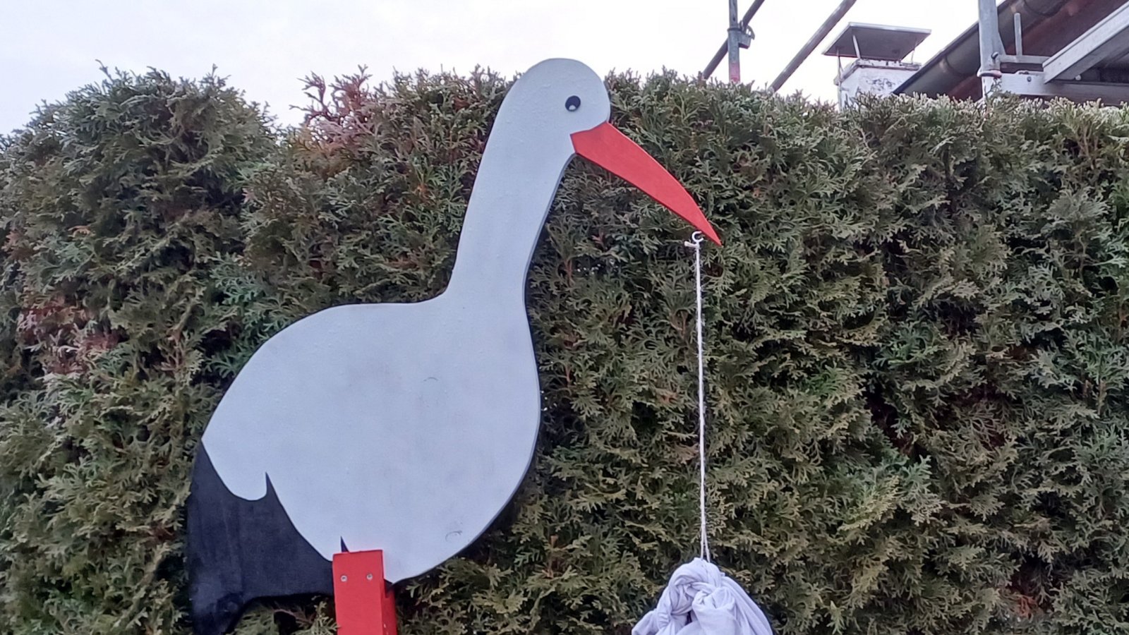Die erste Storchensichtung des noch jungen Jahres auf Vaihinger Markung versetzt Vogelfreunde und Hebammen gleichermaßen in Aufregung.  Foto: Rücker