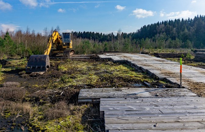 Schwere Holzplanken ermöglichen es dem Bagger, über den feuchten Moorboden zur Abbaustelle zu gelangen.<span class='image-autor'>Foto: privat</span>