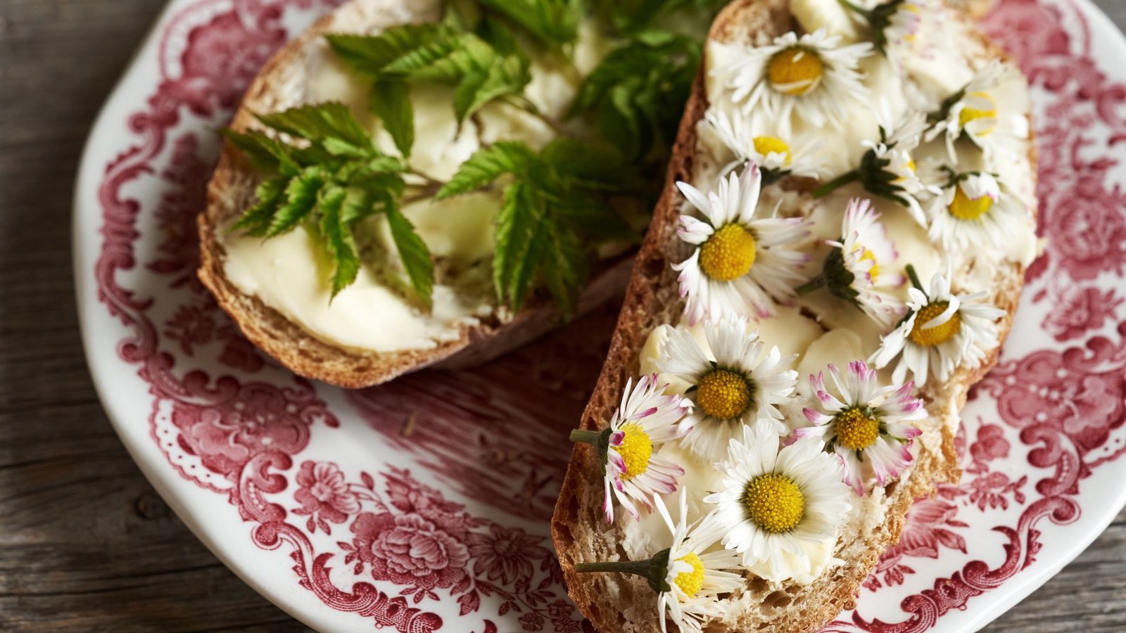 Leckeres Unkraut: Giersch und Gänseblümchen.Foto: Adobe Stock/Madeleine Steinbach Leckeres Unkraut: Giersch und Gänseblümchen.Foto: Adobe Stock/Madeleine Steinbach