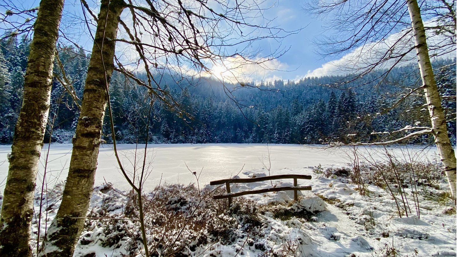 Der Schurmsee liegt als Naturjuwel im Erweiterungsgebiet. Er ist heute schon Naturschutzgebiet und könnte bald zur Kernzone des Nationalparks erklärt werden.Foto: Faltin Der Schurmsee liegt als Naturjuwel im Erweiterungsgebiet. Er ist heute schon Naturschutzgebiet und könnte bald zur Kernzone des Nationalparks erklärt werden.Foto: Faltin