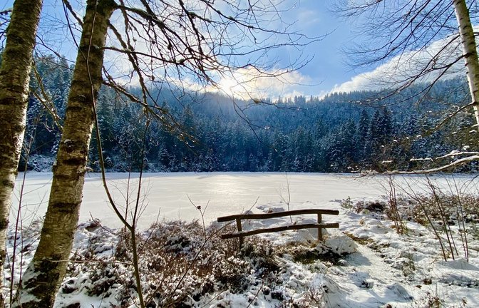Der Schurmsee liegt als Naturjuwel im Erweiterungsgebiet. Er ist heute schon Naturschutzgebiet und könnte bald zur Kernzone des Nationalparks erklärt werden.<span class='image-autor'>Foto: Faltin</span>