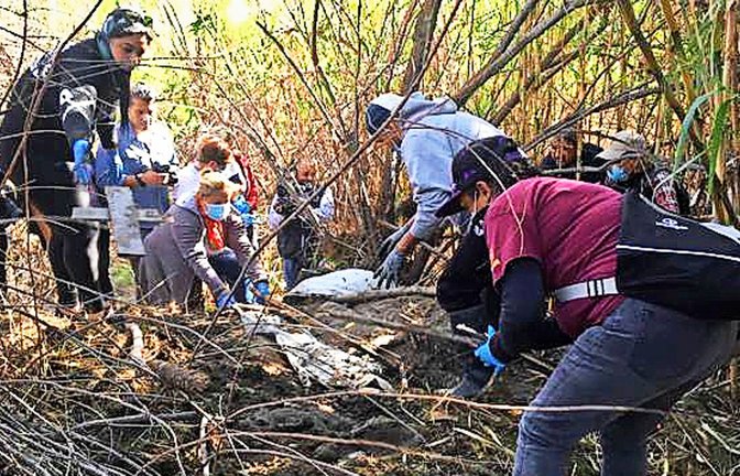 Die Frauen suchen landesweit nach Massengräbern.<span class='image-autor'>Foto: imago/Newscom/Servicio Universal Noticias</span>