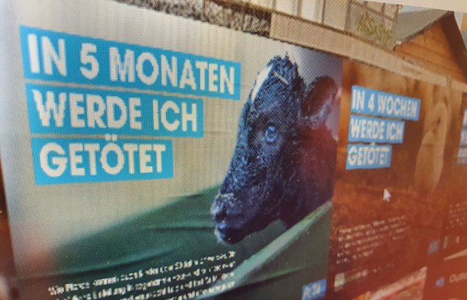 Die Tierrechtsorganisation Peta steht hinter vielen Anti-Fleisch-Demonstrationen.<span class='image-autor'>Foto: privat</span>