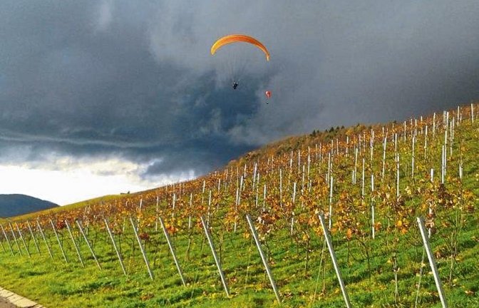Herbstzeit ist eindeutig Hoch-Zeit für jegliche Drachen: Peter Ritt aus Vaihingen entdeckte diesen kühnen Flieger überm Weinberg bei Freudental.