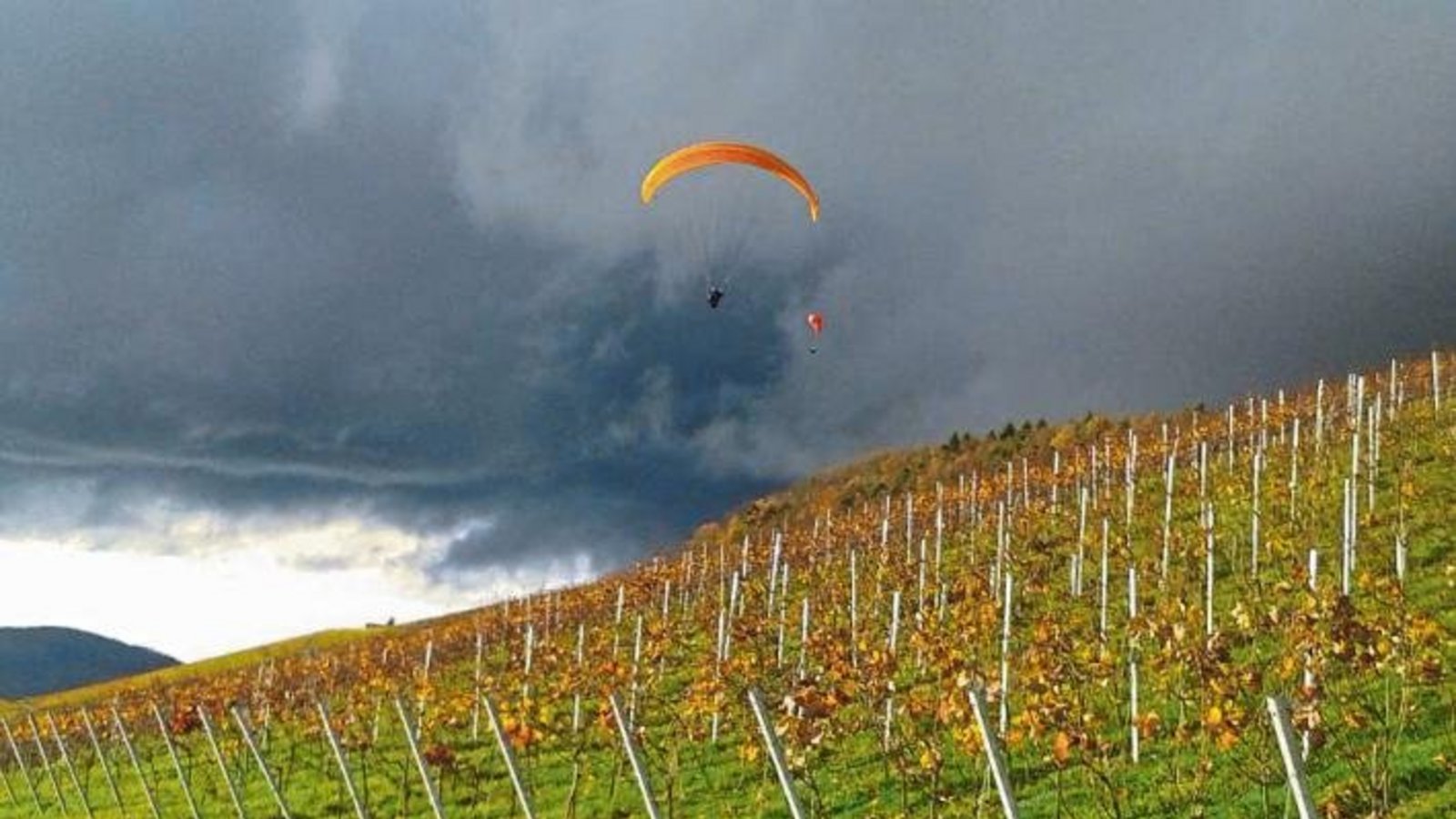 Herbstzeit ist eindeutig Hoch-Zeit für jegliche Drachen: Peter Ritt aus Vaihingen entdeckte diesen kühnen Flieger überm Weinberg bei Freudental.