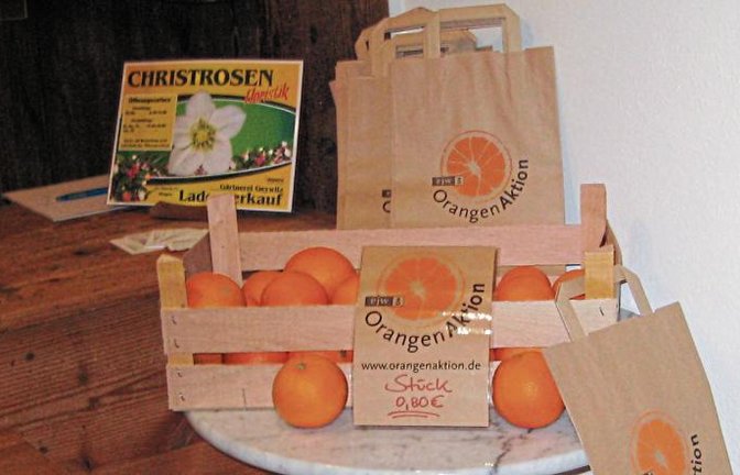 Per Rund-Mail hat die Kirchengemeinde für den Orangenverkauf geworben – mit Erfolg.  Foto: p
