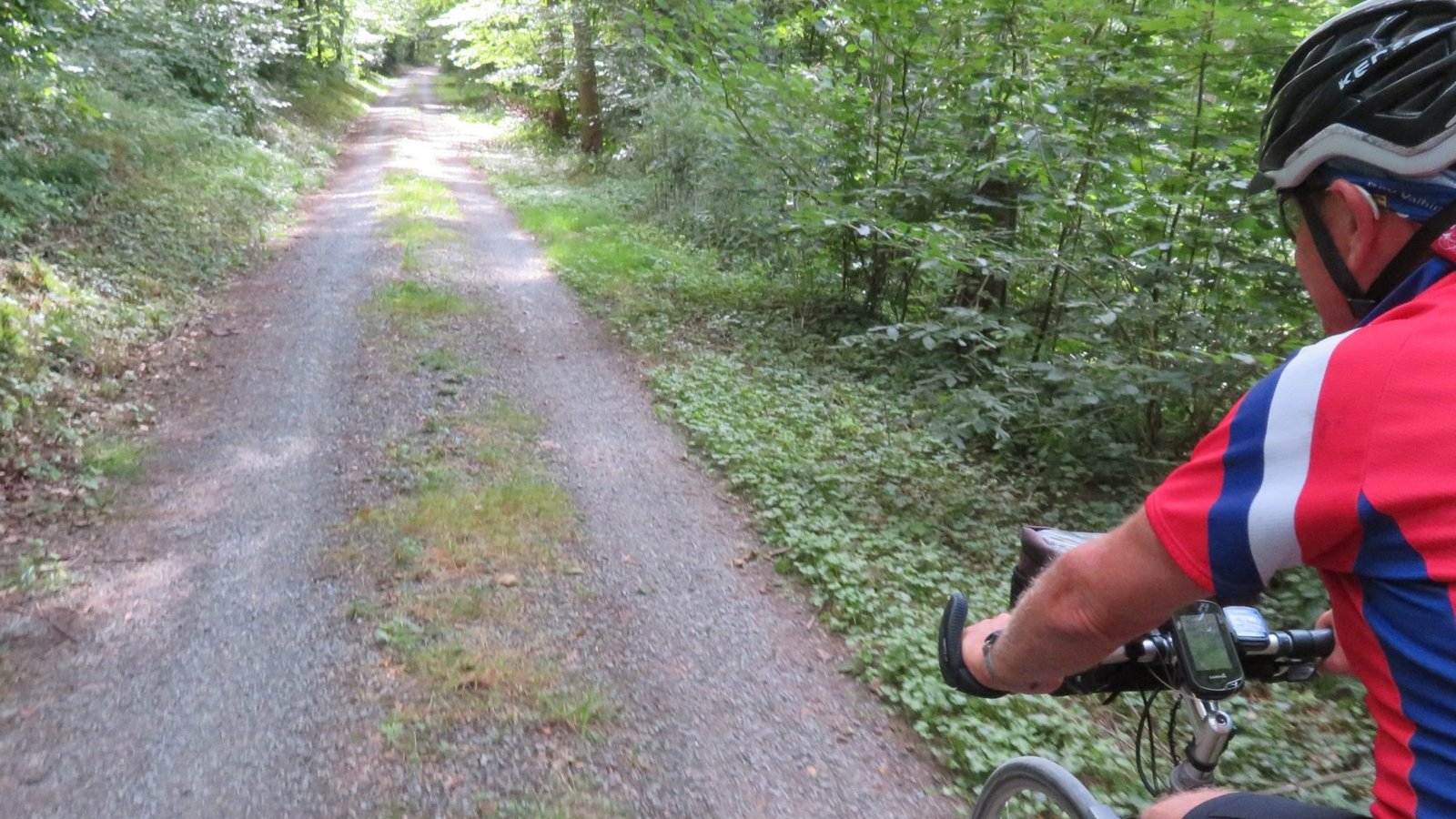 Faszinierende Waldpassagen.