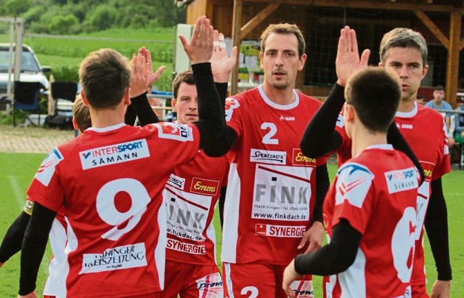 Noch einmal müssen die Faustballer des TV Vaihingen in dieser Feldsaison ran: (von links) Daniel Wörsinger (verdeckt), Jaro Jungclaussen, Marco Lochmahr, Marc Krüger, Tobias Rommel und Kolja Meyer Foto: Nachreiner